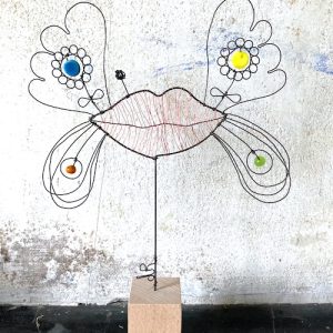 Cabinet curiosité Bouche-Non disponible-possibilité commande