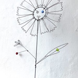 Fleur à planter Bleuet