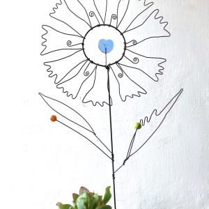 Fleur à planter Bleuet coeur