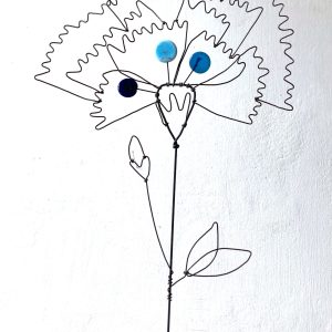 Fleur à planter Chardon