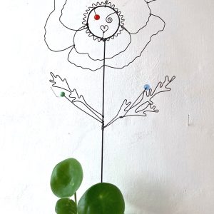 Fleur à planter Cosmos rose