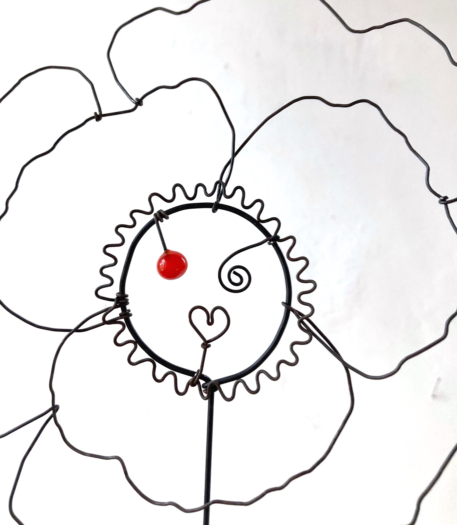 Fleur à planter Coquelicot rouge – Image 2