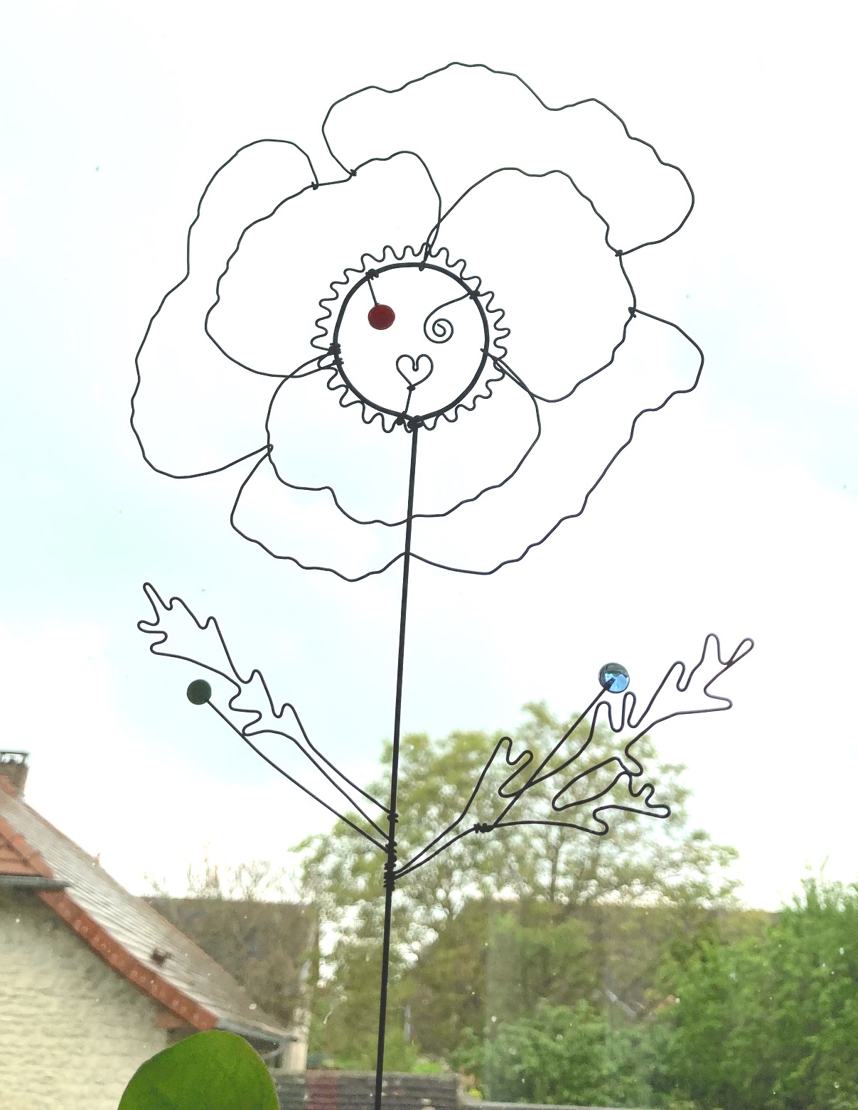 Fleur à planter Coquelicot rouge – Image 3