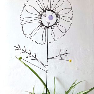 Fleur à planter Cosmos mauve