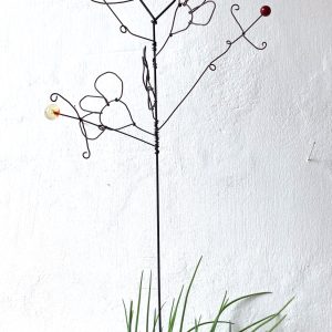 Fleur à planter Pois de senteur