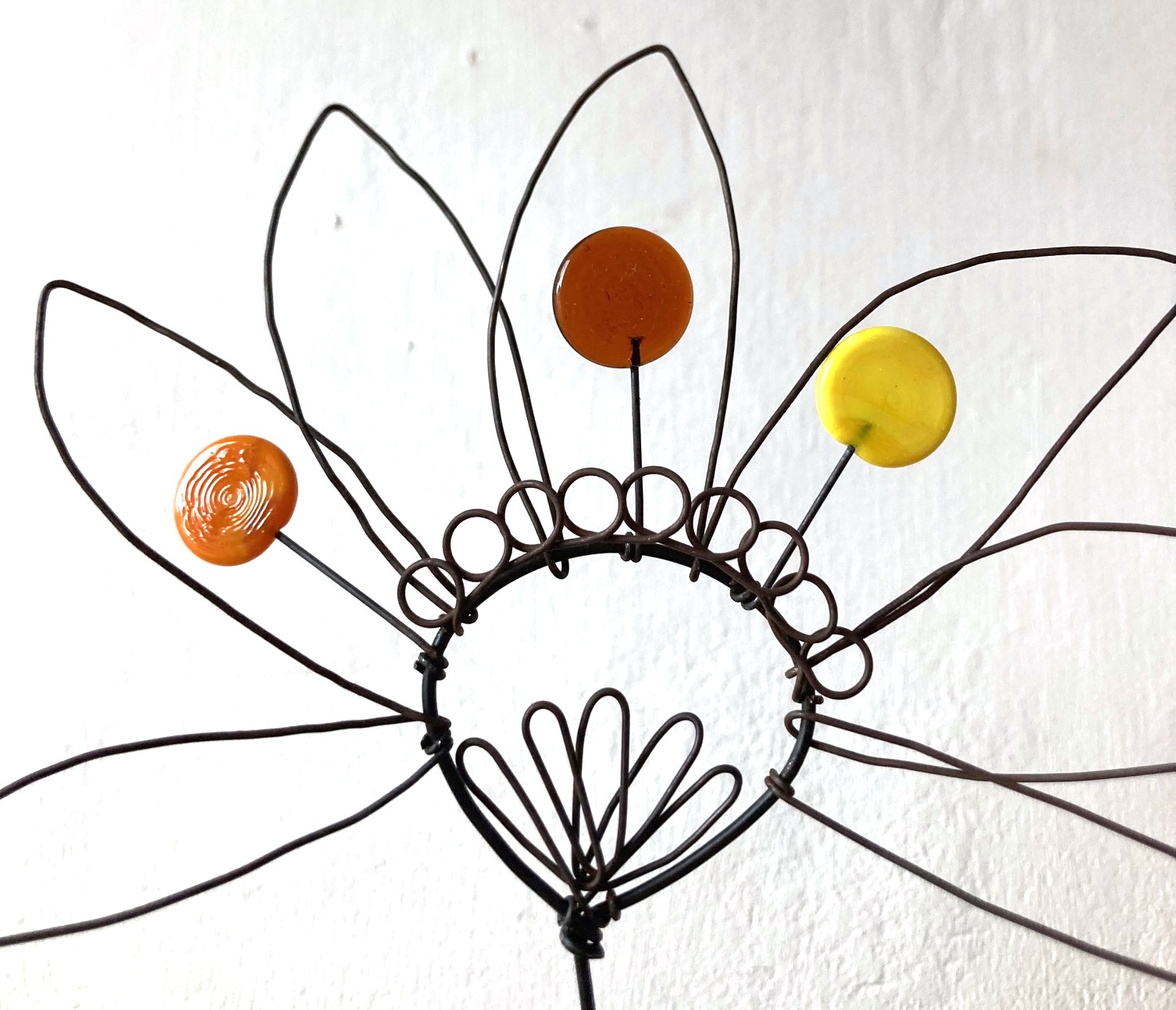 Fleur à planter Rudbeckia – Image 2