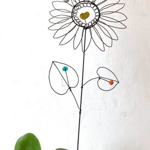 Fleur à planter Tournesol